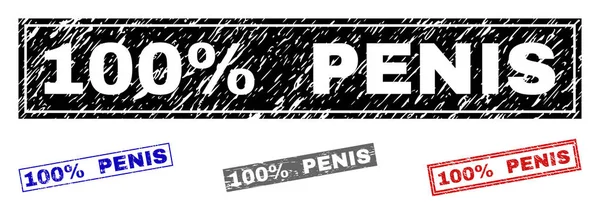 Grunge yüzde 100 Penis dokulu dikdörtgen damga mühürler — Stok Vektör