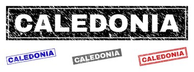 Grunge Caledonia dikdörtgen filigranlar dokulu