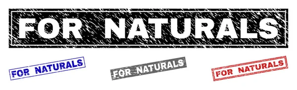 自然纹理矩形邮票印章 — 图库矢量图片