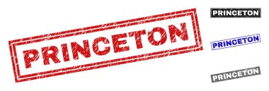 Grunge Princeton dokulu dikdörtgen damga mühürler