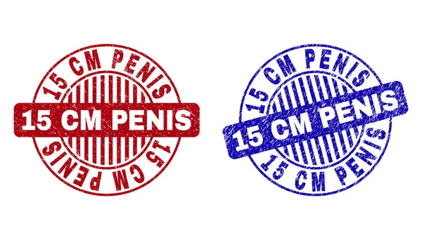 Grunge 15 cm penis teksturowane okrągłe znaczki — Wektor stockowy