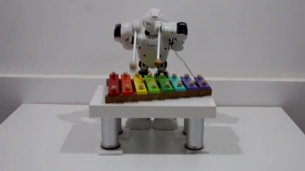Robota Hraje Xylofon — Stock video