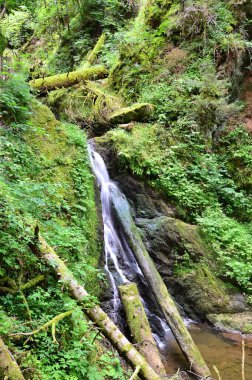 Valley Lotenbachklamm 'da, Kara Orman' da, Baden - Wuerttemberg