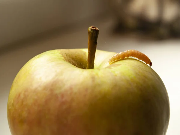 Little worm crawling on a green apple — Stock Photo, Image