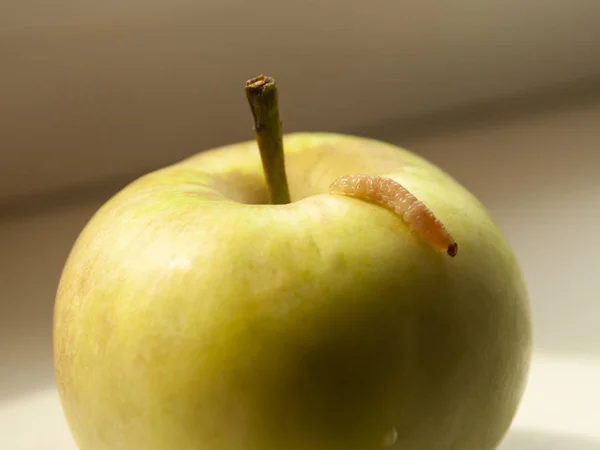 Småfrukter Masken Kryper Ett Grönt Äpple Närbild — Stockfoto