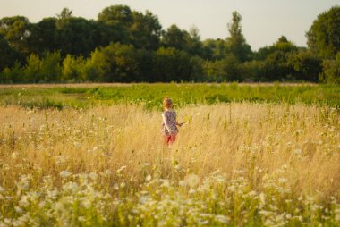 Elinde bir çiçek ile Mutlu genç kız tarlaboyunca çalışır.