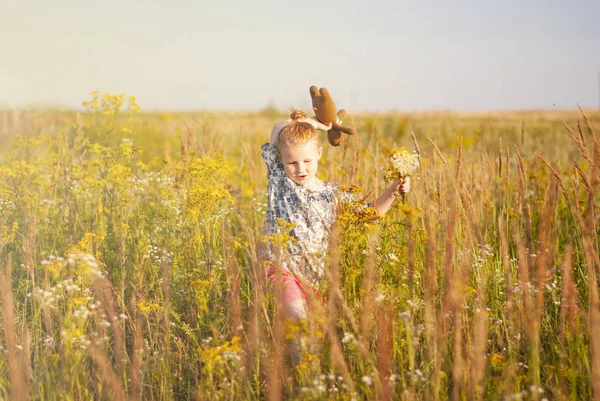Menina feliz com uma flor na mão corre através do campo . — Fotografia de Stock