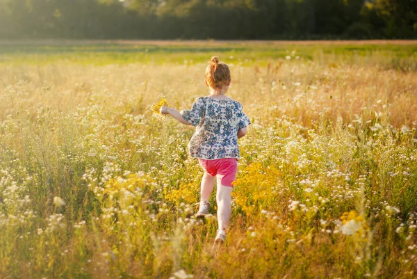 Happy young girl with a flower in his hand runs across the field.