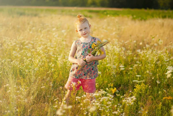 Счастливая молодая девушка с цветочком в руке против цветочного поля — стоковое фото