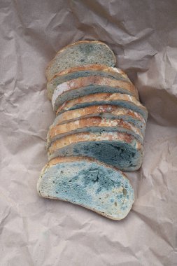 Bozuk ekmek. Bej arka planda küflü ekmek