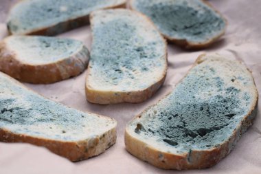 Bozuk ekmek. Bej arka planda küflü ekmek