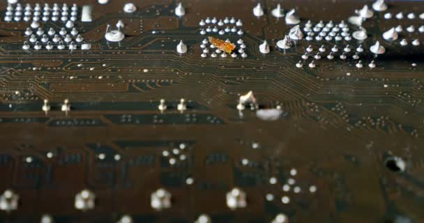 Soldering a circuit board with a soldering iron. Close-up shot of repair at computers and electronics service — Stock Video