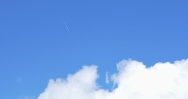 Летит реактивный самолет в голубом небе — стоковое видео