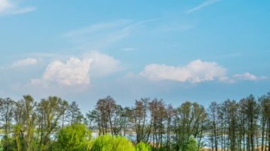 Ağaçlar, yeşil alan ve bataklık üzerinde oluşan bulutlar. Bahar timelapse