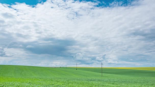 Línea de energía eléctrica en el campo verde nublado. Caducidad — Vídeos de Stock