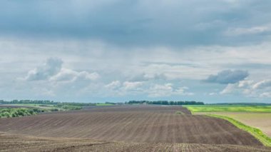 İlkbaharda vahşi tarlada yağmur bulutları. Zaman atlamalı