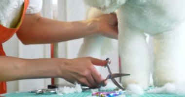 Kuaförde köpek tımarı. Profesyonel köpek bakıcısı. Güzel genç kadın köpek için saç modeli yapma