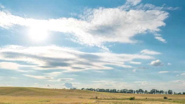 Campo de trigo en el día soleado. Tiempo de caducidad — Vídeo de stock