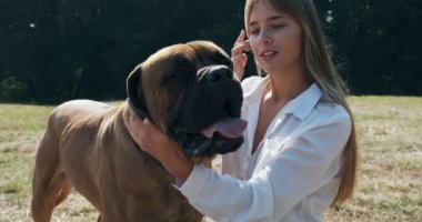 Mutlu genç bayan çimenlerde köpekle oynayarak neşeyle oynuyor. Evcil hayvanla aşk ve arkadaşlık