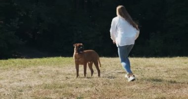 Mutlu genç bayan çimenlerde köpekle oynayıp koşuyor. Evcil hayvanla aşk ve arkadaşlık