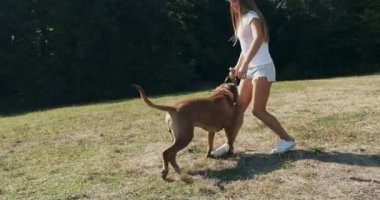 Mutlu genç bayan çimenlikte köpekle oynaşıyor. Evcil hayvanla aşk ve arkadaşlık