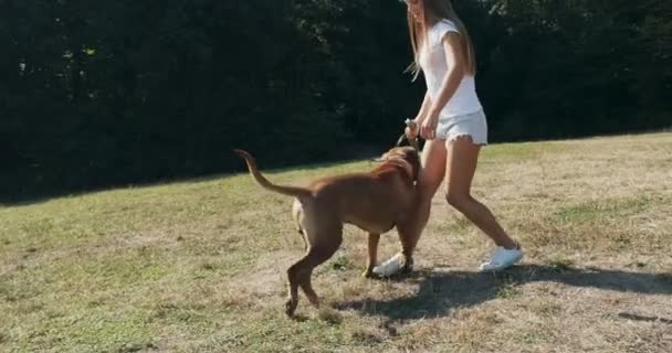 Gelukkig jong vrouwtje vrolijk leiband spelen met hond in het gazon. Liefde en vriendschap met huisdieren — Stockvideo