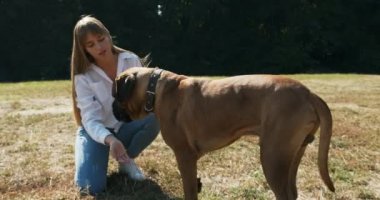 Mutlu genç bayan çimenlerde köpekle oynayarak neşeyle oynuyor. Evcil hayvanla aşk ve arkadaşlık