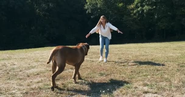 Щаслива молода жінка весело грає і бігає з собакою на газоні. Любов і дружба з домашньою твариною — стокове відео
