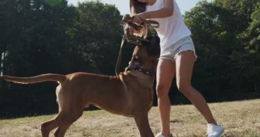 Mutlu genç bayan çimenlikte köpekle oynaşıyor. Evcil hayvanla aşk ve arkadaşlık