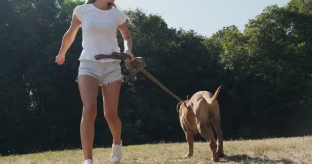 Щаслива молода жінка весело грає на повідку з собакою на газоні. Любов і дружба з домашньою твариною — стокове відео
