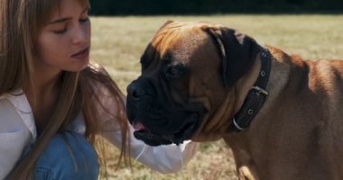 Mutlu genç bayan çimenlerde köpekle oynayarak neşeyle oynuyor. Evcil hayvanla aşk ve arkadaşlık