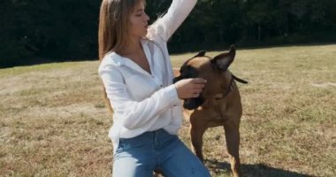 Mutlu genç bayan çimenlerde köpekle oynayarak neşeyle oynuyor. Evcil hayvanla aşk ve arkadaşlık