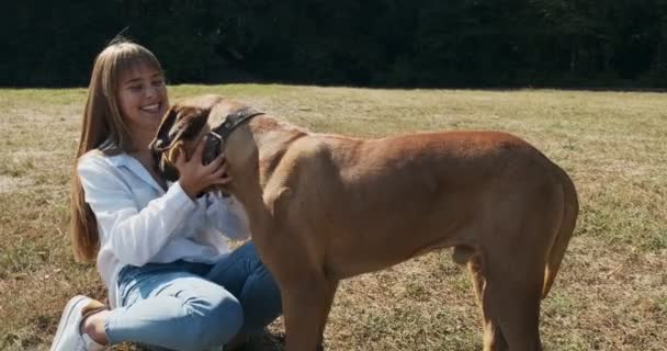 Feliz joven hembra jugando alegremente sentado con el perro en el césped. Amor y amistad con los animales domésticos — Vídeos de Stock