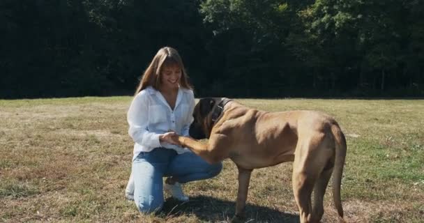 Ευτυχισμένη νεαρή γυναίκα παίζει χαρούμενα κάθεται με το σκυλί στο γκαζόν. Αγάπη και φιλία με κατοικίδια ζώα — Αρχείο Βίντεο