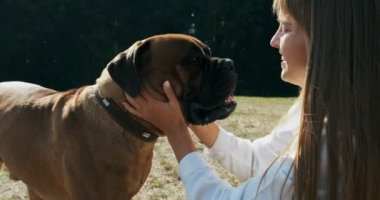 Mutlu genç bayan çimenlerde köpekle oynayarak neşeyle oynuyor. Evcil hayvanla aşk ve arkadaşlık