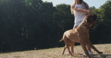 Mutlu genç bayan çimenlikte köpekle oynaşıyor. Evcil hayvanla aşk ve arkadaşlık