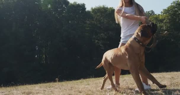 芝生の中で犬と元気に遊んでいる幸せな若い女性。家畜との愛と友情 — ストック動画