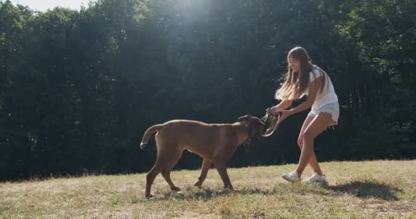 Gelukkig jong vrouwtje vrolijk leiband spelen met hond in het gazon. Liefde en vriendschap met huisdieren — Stockvideo