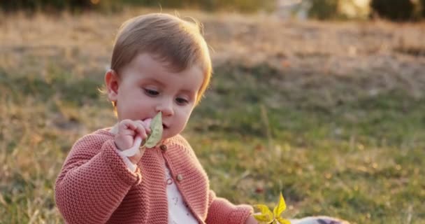 Mała dziewczynka zabawna gra w parku na zielonej trawie na świeżym powietrzu — Wideo stockowe