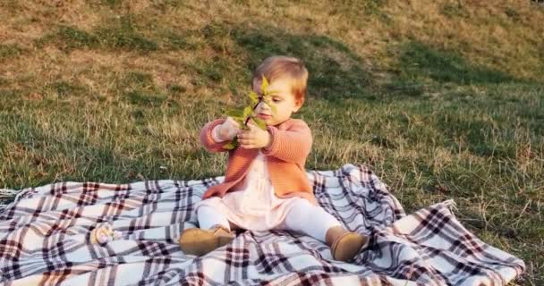 Liten flicka rolig att spela i parken på grönt gräs i frisk luft — Stockvideo