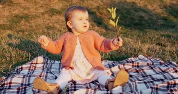 Liten flicka rolig att spela i parken på grönt gräs i frisk luft — Stockvideo