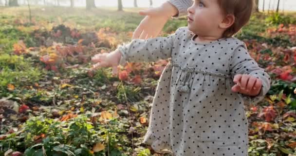 Mała dziewczynka zabawna gra w parku na zielonej trawie na świeżym powietrzu — Wideo stockowe