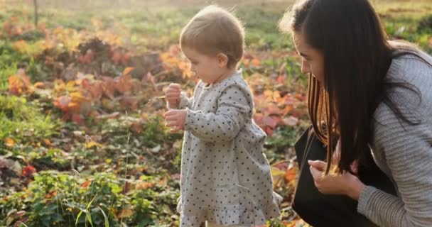 Μικρό κορίτσι αστείο παίζει με κίτρινα φύλλα φθινόπωρο στο πάρκο σε καθαρό αέρα — Αρχείο Βίντεο