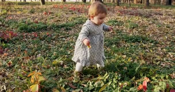 Menina engraçada brincando no parque na grama verde ao ar livre — Vídeo de Stock