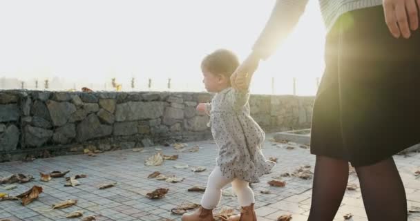 Una joven madre camina de la mano con su hija al aire libre. Familia feliz caminando al atardecer en el parque — Vídeos de Stock
