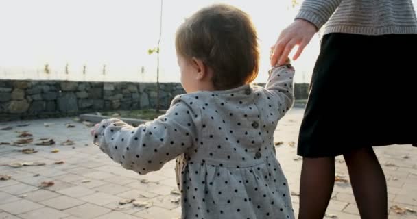 En ung mor går vid handen med sin dotter i friska luften. Lycklig familj promenader på vid solnedgången i parken — Stockvideo