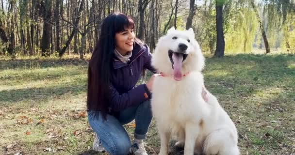 Mutlu bayan güler yüzlü bir şekilde sonbahar parkında köpekle oynuyor ve onunla oturuyor. Evcil hayvanlarla sevgi ve arkadaşlık. Beyaz Çoban — Stok video