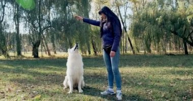 Mutlu kadın güler yüzlü bir şekilde sonbahar parkında köpekle oynuyor. Evcil hayvanlarla sevgi ve arkadaşlık. Beyaz Çoban