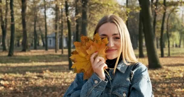 Belle femme souriante en veste de jeans tenant une feuille d'érable tombée près de son visage dans un parc d'automne jaune 