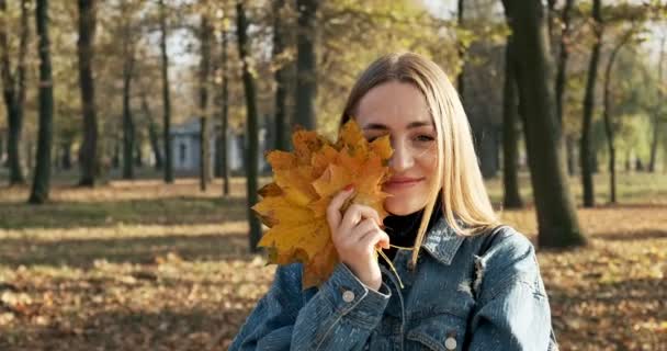 Красивая улыбающаяся женщина в джинсовой куртке держит упавшие кленовые листья возле лица в желтом осеннем парке — стоковое видео